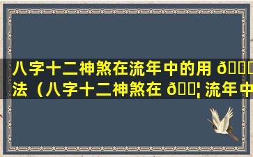 八字十二神煞在流年中的用 🐟 法（八字十二神煞在 🐦 流年中的用法有哪些）